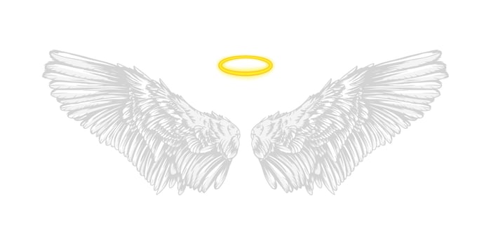Realistic religious angel wings. White isolated pair of falcon wings, sketch bird wings design template. Vector concept white cute feathered wing animal on white background