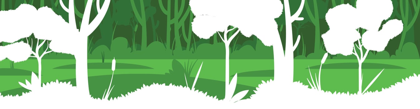 Vector scene illustration of beautiful spring landscape, layered green trees, bright color, swamp background in flat banner paper cartoon style