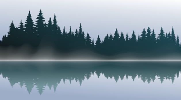 Vector green dark forest background texture, silhouette of coniferous forest, vector. Season trees by the lake, reflection in the water spruce, fir. Horizontal landscape.