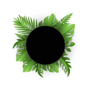 Sign with text space of Tropical Leaves png
