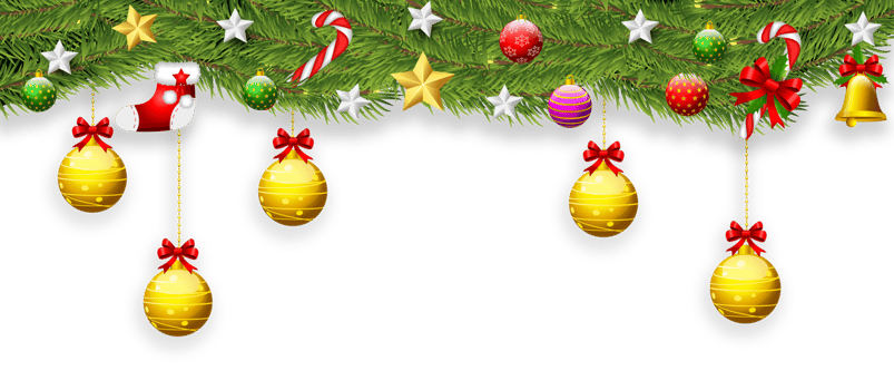 Christmas border with fir branches, png