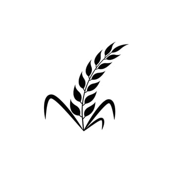 Wheat and rice icon logo designs vector image