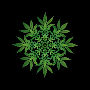 Vector illustration of green marijuana circular on a black background. Cannabis logo