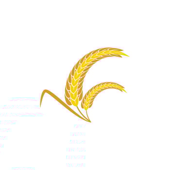 Wheat and rice icon logo designs vector image