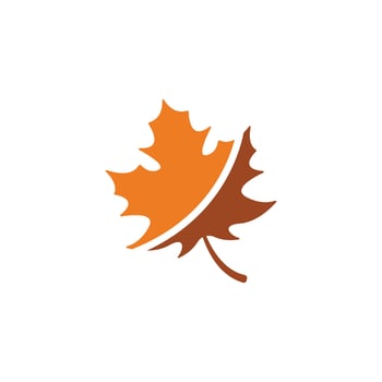 maple leaf logo icon desig template vector