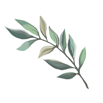 tree branch illustration png