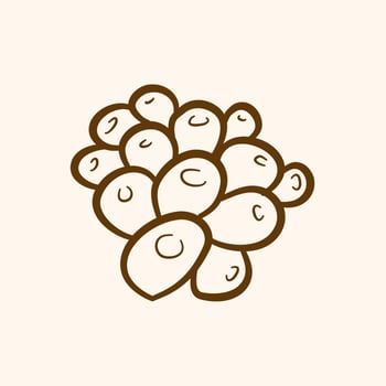 berry, coffee bean, hand drawn style of berry vector