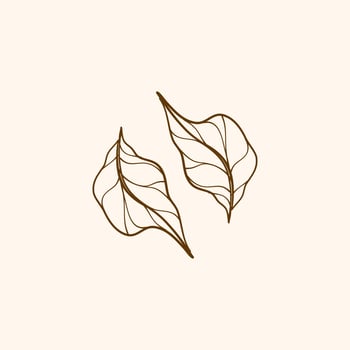 Leaf decorations, simple design of leaf, leaf outline element vector