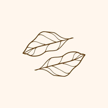 Leaf outline design, leaf, simple illustration of leaf for decoration vector