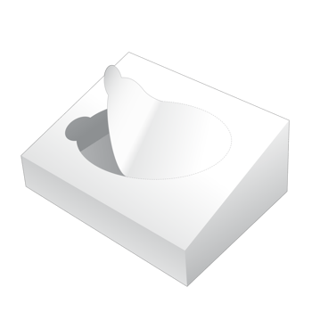 3D packaging box mockup png