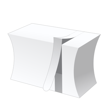 3D packaging box mockup png