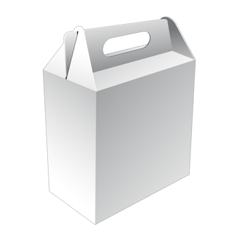 3D packaging box mockup png
