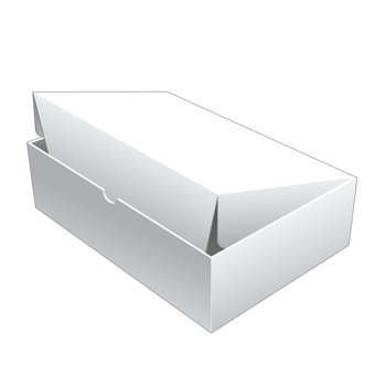 3D packaging box mockup png