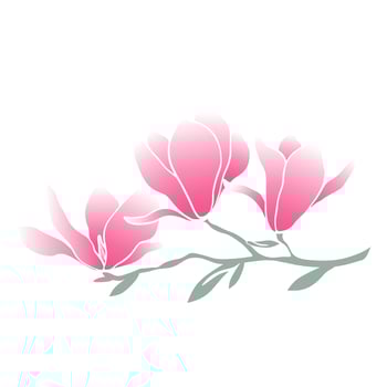 Twig magnolia flowers isolated vector illustration