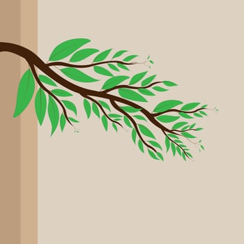 Illustration branches with green leaves isolated on brown background. vector