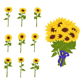 Bright bouquet of sunflower flowers with yellow petals and individual plants on stems and with leaves. Element of nature, plant for decoration and design, holiday gift. Vector flat illustration