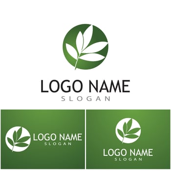 Leaf and Shutter Lens Aperture for Nature Photographer logo design inspiration vector
