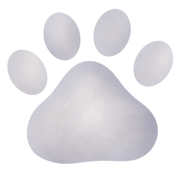 cat pawn clipart png