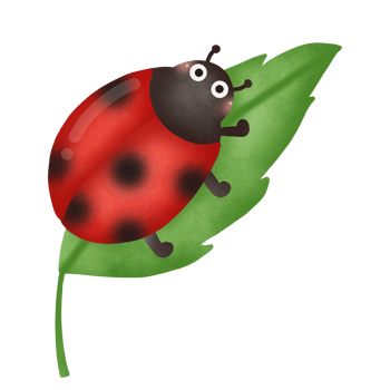 Cute cartoon lady bug png
