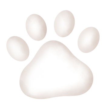 Watercolor Cute dog clipart png