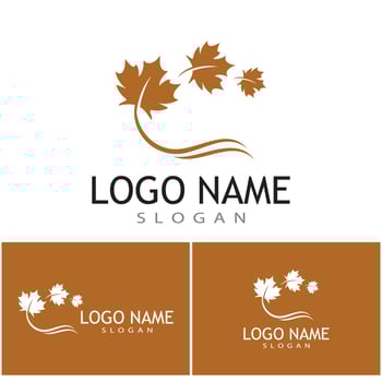 Maple leaf vector illustration design template