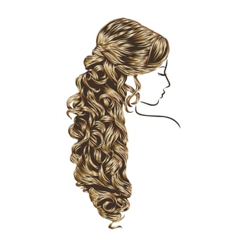 women's hairstyle vector sketch