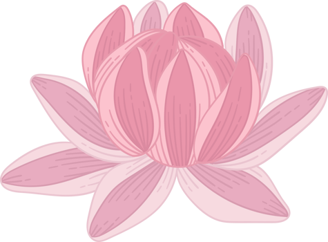 Hand drawn pink dahlia flower png
