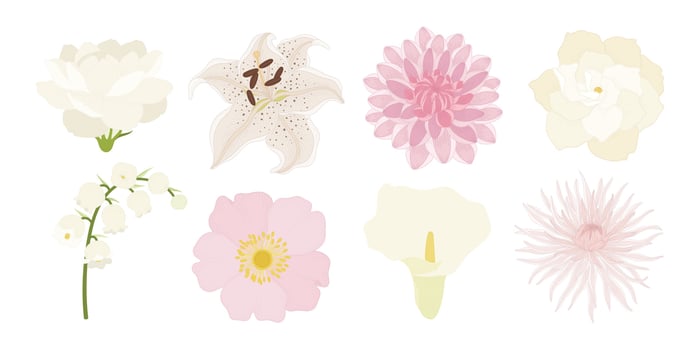 Set of colorful blooming flowers illustration. vector