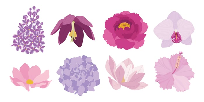 Set of colorful blooming flowers illustration. vector
