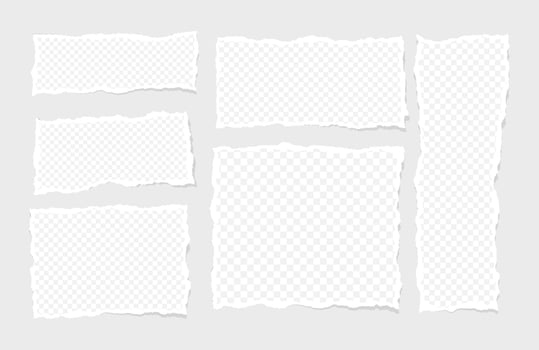 Set of paper different shapes ripped scraps, fragments, wisps isolated on gray background vector