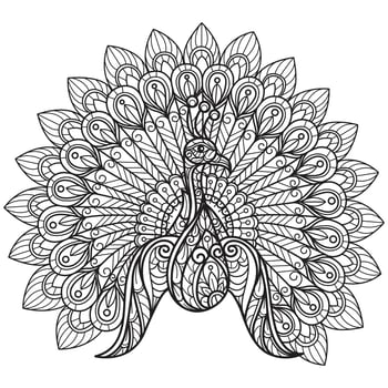 Cute peacock hand drawn for adult coloring book vector