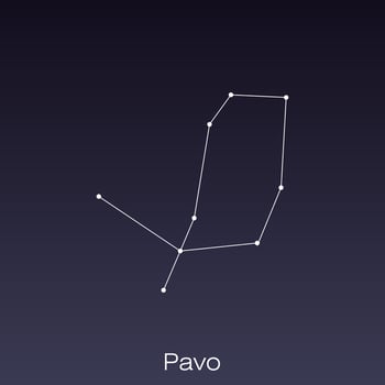 constellation as it can be seen by the naked eye. vector