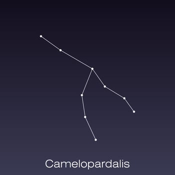 constellation as it can be seen by the naked eye. vector