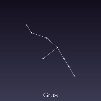 constellation as it can be seen by the naked eye. vector