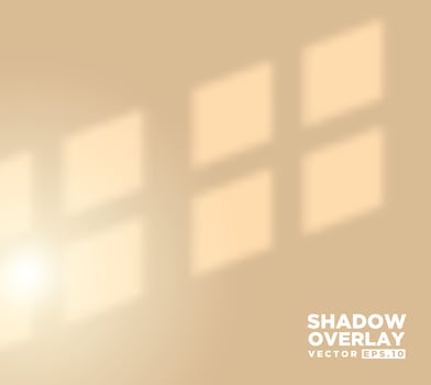 Realistic shadow overlay effect of room window pane vector