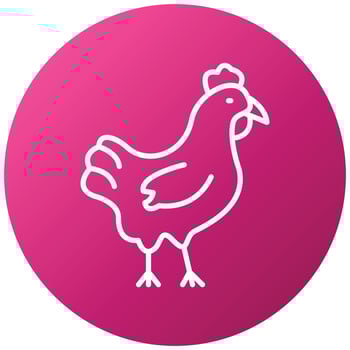 Chicken Icon Style vector