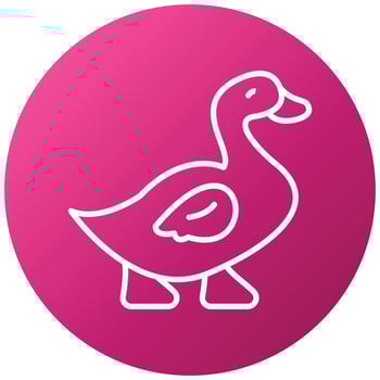 Duck Icon Style vector