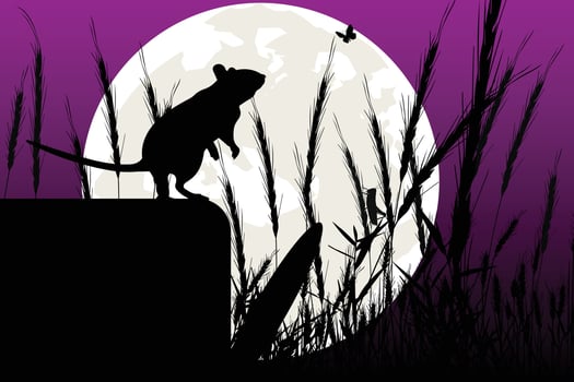 cute mouse animal silhouette graphic vector