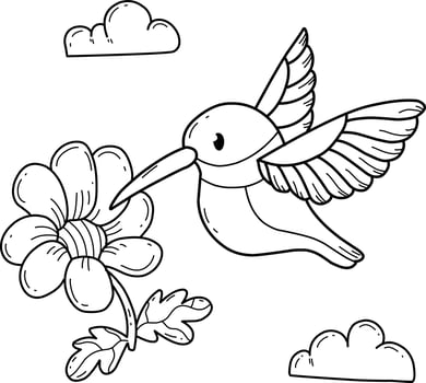 animals coloring book alphabet. Isolated on white background. Vector cartoon hummingbird.