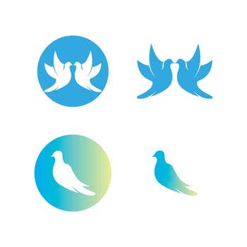 Bird wing Dove icon Template vector illustration