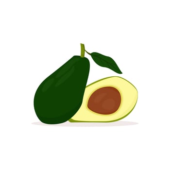 Very fresh green avocado vector