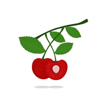 vector of fresh cherries is suitable for flayer design needs, book covers and various fruit-themed designs