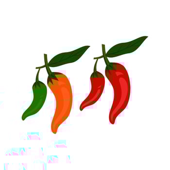 vector fresh cayenne pepper from Indonesia