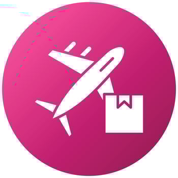 Airplane Delivery Icon Style vector