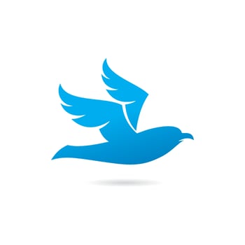 Bird Logo Template vector illustration design