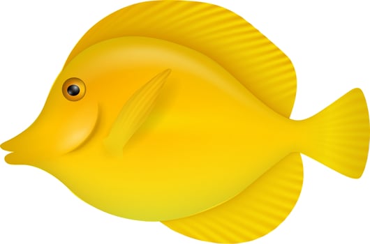 isolated yellow tang fish illustration vector