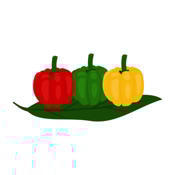 fresh red, green, yellow peppers vector