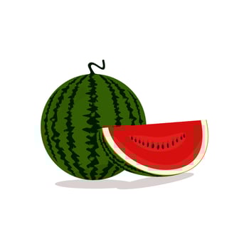 fresh red watermelon vector tastes sweet