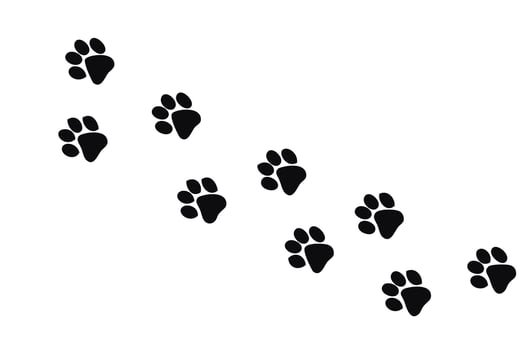 Prints paws cat graphic icons. Traces cat isolated on white background. Footprints animal. Vector illustration. cats lover.