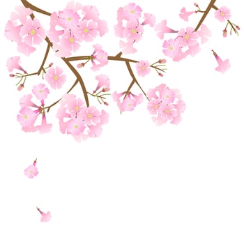 vector pink trumpet flower